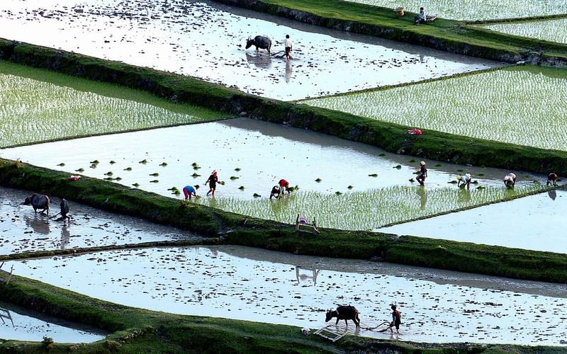 鄧小平在1978年12月召開(kāi)的中共十一屆三中全會(huì)，開(kāi)創(chuàng)了我國(guó)改革開(kāi)放的社會(huì)主義現(xiàn)代化建設(shè)的新時(shí)期。